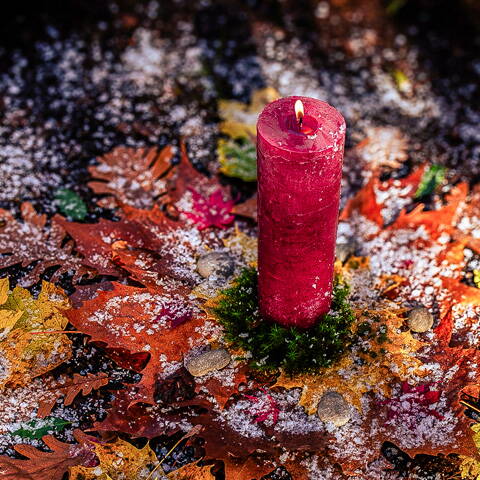 Meliso mit neuem Postkarten-Set